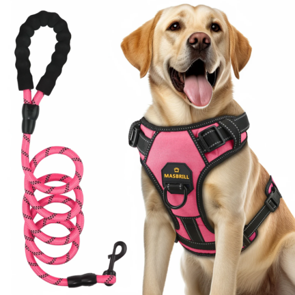 MASBRILL Dog Harness and Leash Set, No Pull Vest Harness, Reflective Adjustable Soft Padded Pet Harness with Handle for Small to Large Dogs